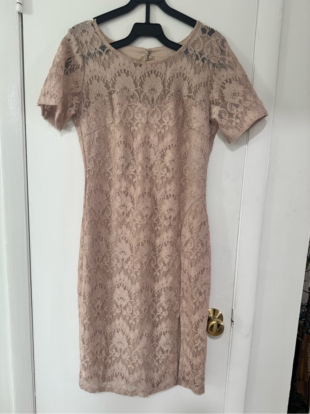 Beige Lace Sheath Dress - Classic Women's Dress
